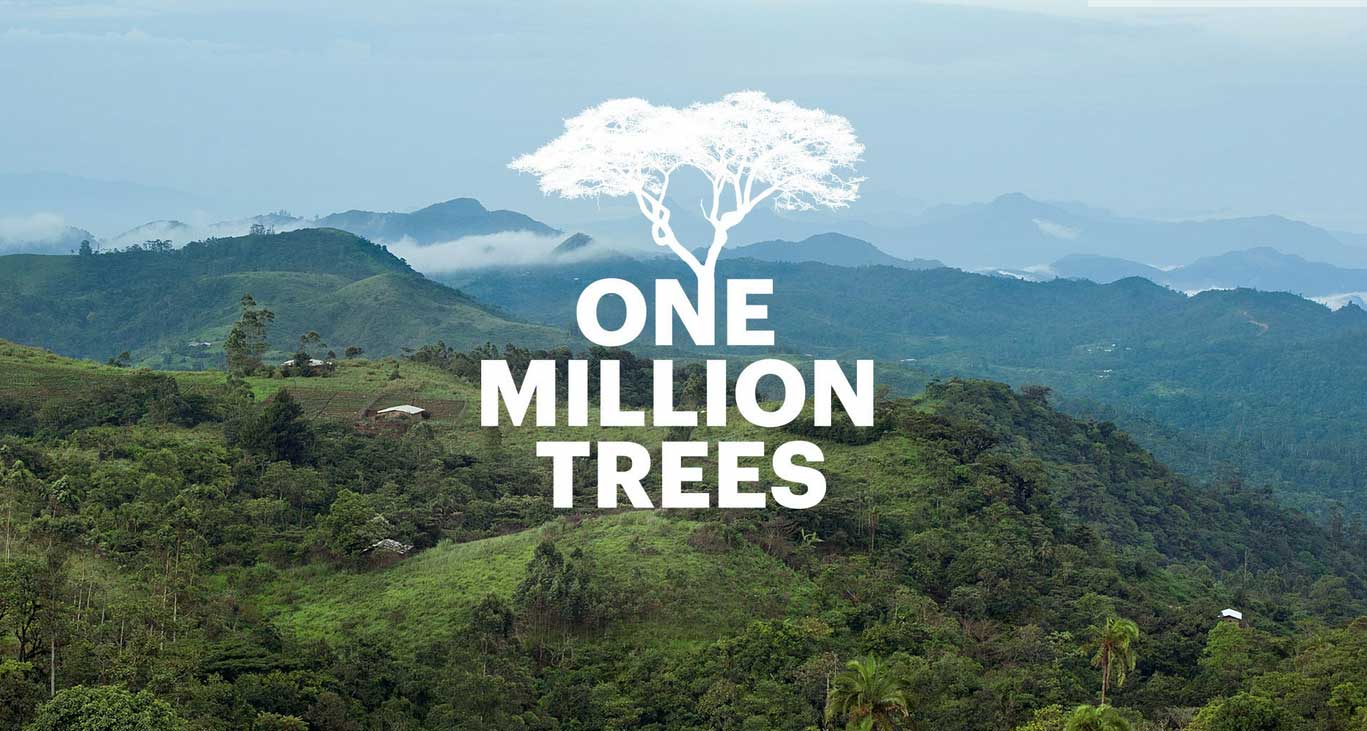 one-million-trees